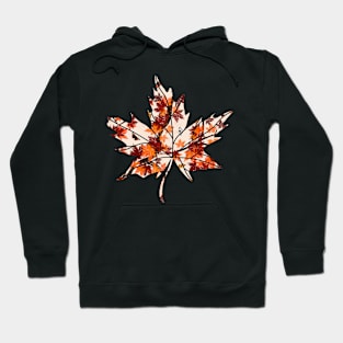 Butterfly Tree Hoodie